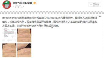 微博娱乐圈爆料博主是谁,揭秘幕后真相  第2张