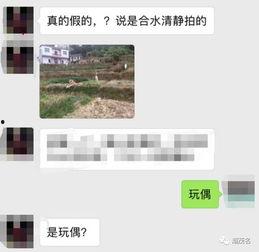 茂名真实爆料事件最新情况,揭开事件背后惊人真相  第1张